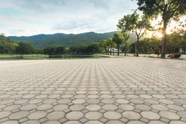 Best Commercial Driveway Pavers  in Oaklyn, NJ